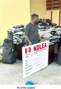 NDLEA Arrests Warri Kinsman Over Alleged Importation Of 414.2kg Cannabis Sativa