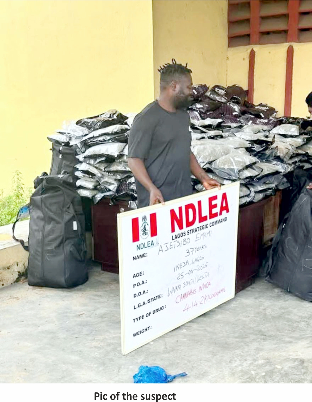 NDLEA Arrests Warri Kinsman Over Alleged Importation Of 414.2kg Cannabis Sativa