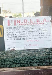 NDLEA DEALS MAJOR BLOW TO DRUG CARTEL, ARRESTS KINGPIN AND PASTOR IN COCOINE AND SKUNK BUSTS