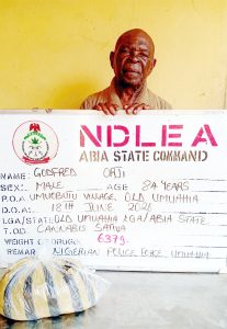 When Grandpa Becomes Dealer”: 84-Year-Old, 75-Year-Old Arrested For Selling Tramadol To SS2 Students In Umuahia As NDLEA Seizes 9.5kg Synthetic Drug, 1.4 Tons Skunk Nationwide