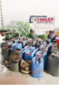 NDLEA DECLARES ‘ODOGWU’ AND 3 OTHERS WANTED AS AGENCY FREEZES N9.8BN, SEIZES FUEL STATION, SUVS IN CRACKDOWN ON METH CARTEL