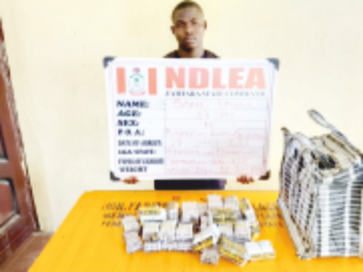 NDLEA Uncovers Cocaine in Mortar, Backpack as Dragnet Closes on Drug Barons Across Nigeria