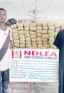 FROM MARBLES TO JAIL: NDLEA NABS DESPERATE BUSINESSMAN, SMASHES N3.6B DRUG CARTELS ACROSS NIGERIA
