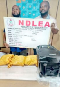 NDLEA INTERCEPTS UK “COLOS” IN SPEAKERS, UNCOVERS OPIOIDS IN LOAVES OF BREAD