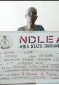 NDLEA Nabs 83-Year-Old Convicted Grandma, South African Lady With 32.74kg Loud; Seizes 354,000 Tapentadol Pills, Over 3.5 Tons of Cannabis, Rifles In Nationwide Raids